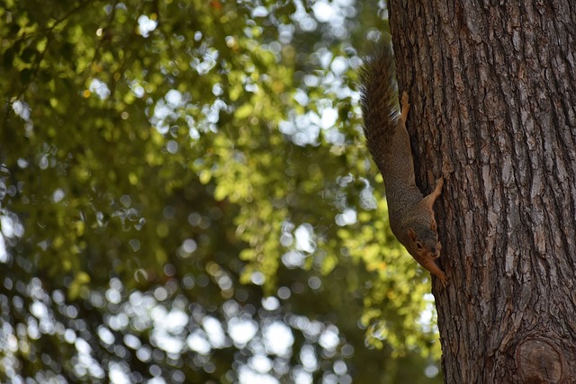 足球欧冠最新积分榜出炉，两大豪门濒临淘汰