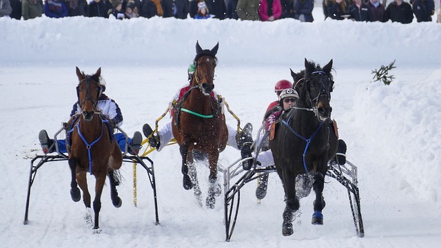 港队本月亚洲杯预选赛大名单：陈晋一领衔中超、中甲8将入选